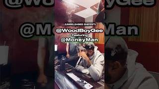 Woodboy Gee x MoneyMan  Unreleased Snippet 🦅♻️ [upl. by Notluf]