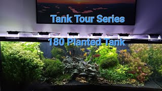 TANK TOURS  180 Gallon Planted Tank [upl. by Yla]