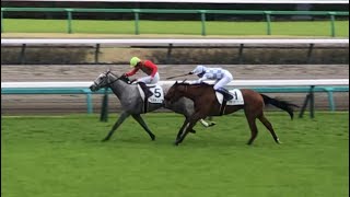 【現地】コガネノソラ 横山武史 3歳1勝C 叔母ウインマリリン [upl. by Errecart]