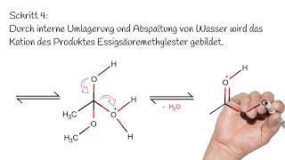 Die säurekatalysierte Veresterung  Reaktionsmechanismus  Organische Chemie [upl. by Hsan]