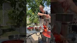 Preserving Tomatoes  Lets Make Sauce backyardgardening growyourownfood backyardhomestead [upl. by Nehgaem]