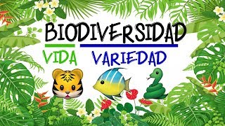 🌿 ¿Qué es la BIODIVERSIDAD 🐝 Fácil y Rápido  BIOLOGÍA [upl. by Aw909]