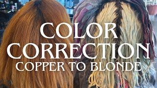 Copper to Blonde in One Day Color Correction amp Toner Tutorial Hair Transformation Platinum Card [upl. by Nalniuq]