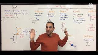 Leaf 🍁 🍃 introduction Botany amp Pharmacognosy [upl. by Pugh548]