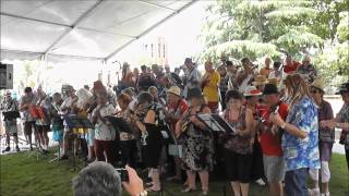 BMF 2015  Swingaleles  Wollongong Kokomo adaption [upl. by Anniahs691]