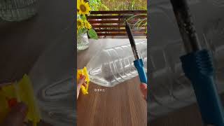 Beautiful garden flowers plants in bottle flower diy garden home gardenplants [upl. by Ardnued561]