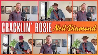 Cracklin Rosie  Neil Diamond cover [upl. by Ehcadroj]