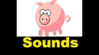 Pig Squeal Sound Effects All Sounds [upl. by Siahc552]