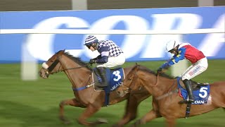 BLOW YOUR WAD wins 2024 Pendil Novices Chase at Kempton [upl. by Adnara]