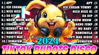 NEW TIKTOK BUDOTS DISCO PARTY 2024  DISCO REMIX 2024 NONSTOP NEW SONGS [upl. by Kalikow]