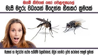 මැසි මදුරු උවදුර සහමුලින්ම නැතිකරන්න Totally repel mosquitoes and flies from your residence [upl. by Bentley]