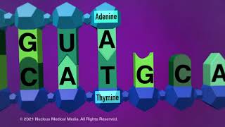 DNA and RNA  Transcription [upl. by Llenrahs]