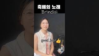 Brindisi축배의노래성악행사 1위곡la traviataGVerdi소프라노김혜영전공자레슨공연연주 [upl. by Kendal527]