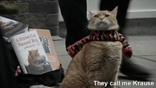 A Street Cat Named Bob OST  Satallite Moments  Lyrics [upl. by Cia]