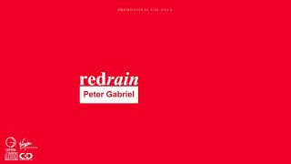 Peter Gabriel  Red Rain Edit [upl. by Irneh]