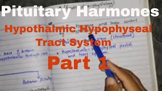 Pituitary hormone and their control by hypothalamus part 1 hypothalmic hypophyseal tract system [upl. by Nibot]