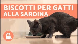 BISCOTTI per gatti fatti in casa – Ricette per gatti alla sardina [upl. by Mukerji]