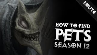 Diablo 3  HOW TO FIND PETS REALLY FAST SEASON 12  PWilhelm [upl. by Gothart]