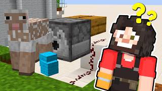 How I build a WOOL FARM in Minecraft [upl. by Enomaj]