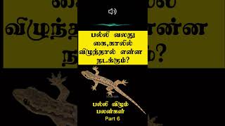 பல்லி வலது கை காலில் விழுந்தால் இது நடக்கும்  Palli vilum palan in Tamil  Intamizh  shorts [upl. by Annoyi431]