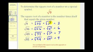 Introduction to Square Roots [upl. by Anerda]