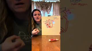 Cardiovascular system blood flow of the heart and anatomical structures [upl. by Will]