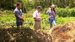 Producciòn agroecológica en Escuela de Campo [upl. by Elaynad]