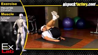 Reverse Crunch  Best Lower Ab Exercises [upl. by Haff]