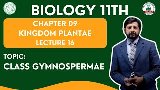 Class Gymnospermae  Grade 11 Biology  LECTURE 16  KINGDOM PLANTAE [upl. by Anatole]