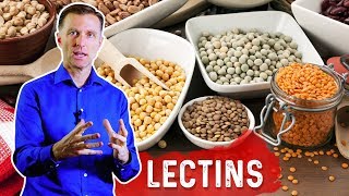 Lectins and Autoimmune Conditions [upl. by Annaerda]