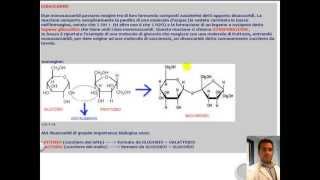 CORSO DI BIOLOGIA GENERALE  LEZIONE 16  ZUCCHERI [upl. by Pachston]