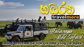 Vlog 14  Habarana Wild Safari අලි බලන්න හබරන යමු  Travel More [upl. by Immot]