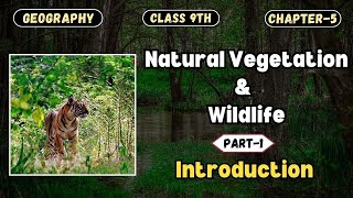 Natural Vegetation amp Wildlife  Introduction Part1  CBSE Class 9th  Geography Chapter5 [upl. by Anayd360]