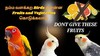 what fruits and vegetables to be given to birds mightyfeathersfarm [upl. by Feola]