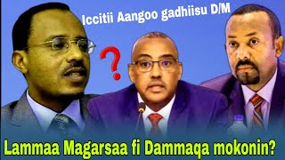 Lammaa Magarsaa fi Dammaqaa mokonin iccitii jabaaDammaqan AangoAGM zehabesha [upl. by Leemaj]