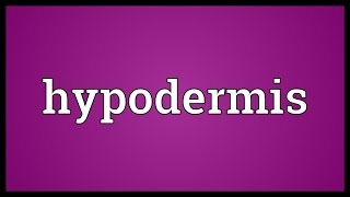 Hypodermis Meaning [upl. by Salis]