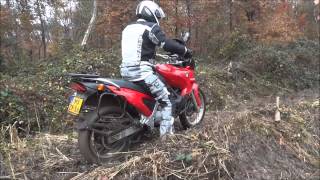 BMW F650 in the forestwmv [upl. by Rodablas11]