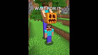 Proboiz Funny Sigma Moment in Minecraft [upl. by Brant]