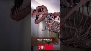 Even Sue The TRex Got A Recent Update With New Scientific Findings [upl. by Igal312]