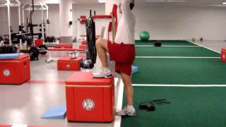 Psoas Iliacus Strengthening Exercises [upl. by Pytlik]