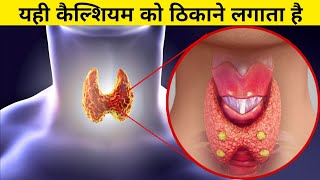 कैल्शियम के साथ शरीर में क्या होता है  parathyroid and calcium [upl. by Townshend468]