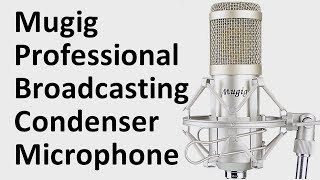 Mugig XLR condenser microphone review unboxing amp test  The best cheap mic for podcasting amp vlogging [upl. by Doy]