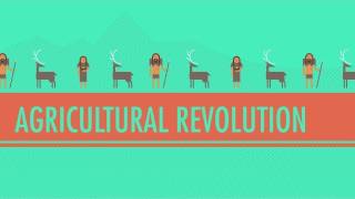 The Agricultural Revolution Crash Course World History 1 [upl. by Ardnoik349]