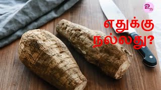 ஆரா ரூட் நன்மைகள்  Arrowroot benefits in Tamil [upl. by Rebmat845]