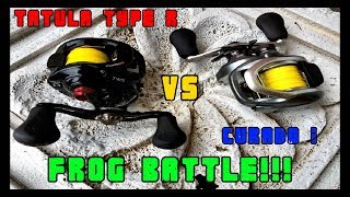 DAIWA TATULA TYPE R VS SHIMANO CURADO I round 4 Hollow Body Frog [upl. by Sihonn]