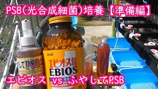 PSB（光合成細菌）培養。エビオス vs ふやしてPSB [upl. by Earehs722]