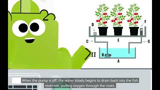 Introduction to Aquaponics Aquaponic Growing Methods [upl. by Esli457]