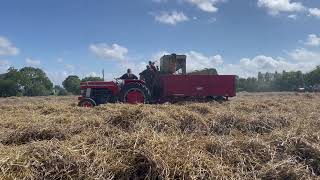 vintage combine harvester Massey Ferguson [upl. by Belshin]