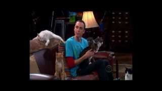 The Big Bang Theory  Zazzles [upl. by Bruno]