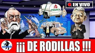 Insólito Jefe Diego Se Arrodilla y Se Dobla Ante AMLO Para Evitar Encarcelamiento [upl. by Eirahcaz939]